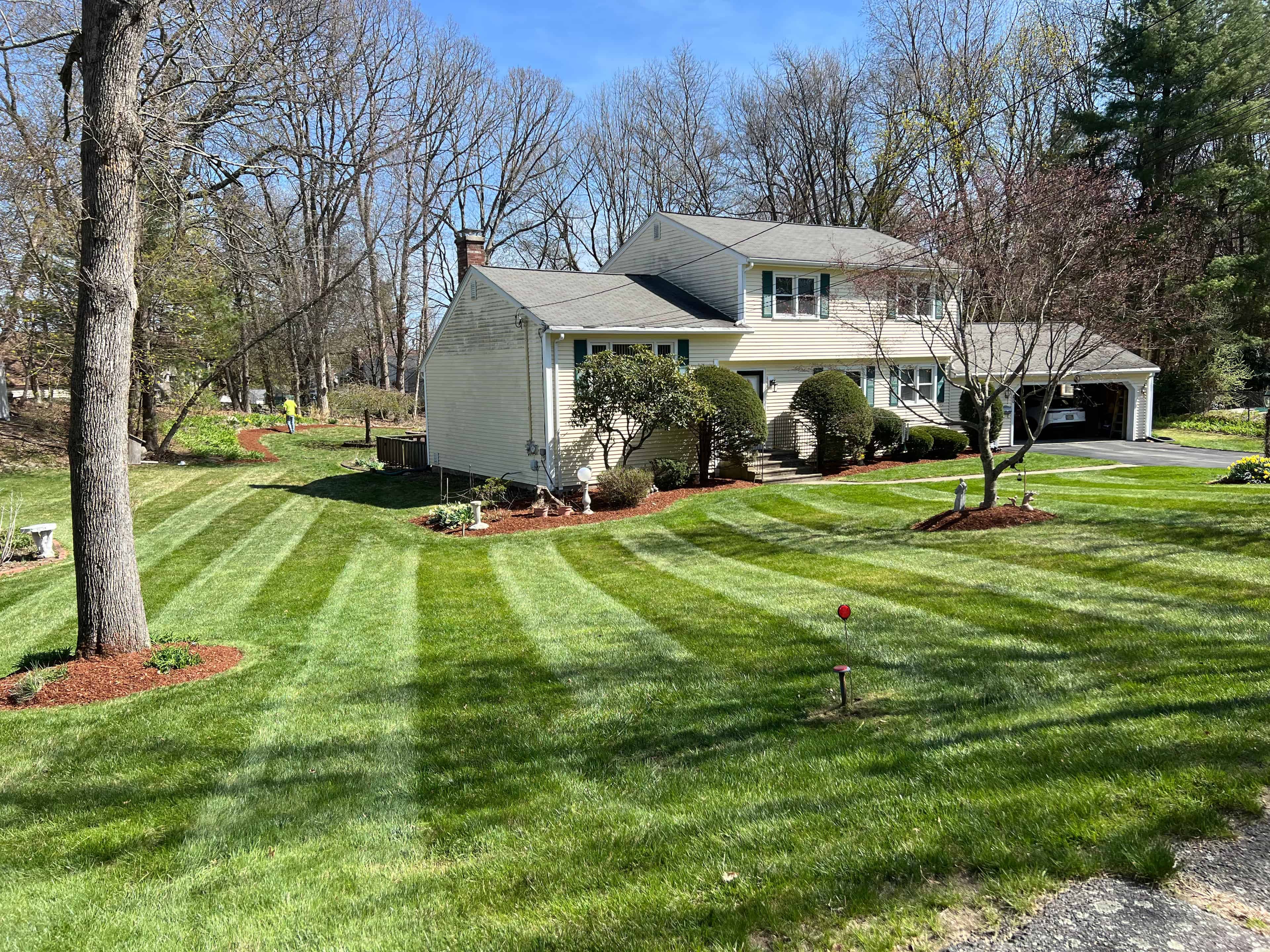 Lawn Maintenance image