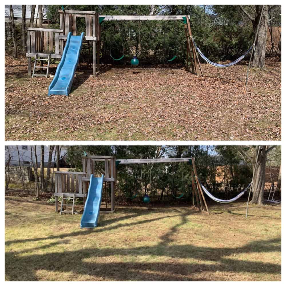 Spring/Fall Cleanup image