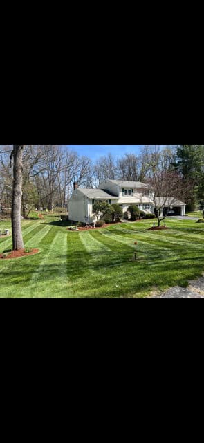Transform Your Lawn with Precision Mowing image