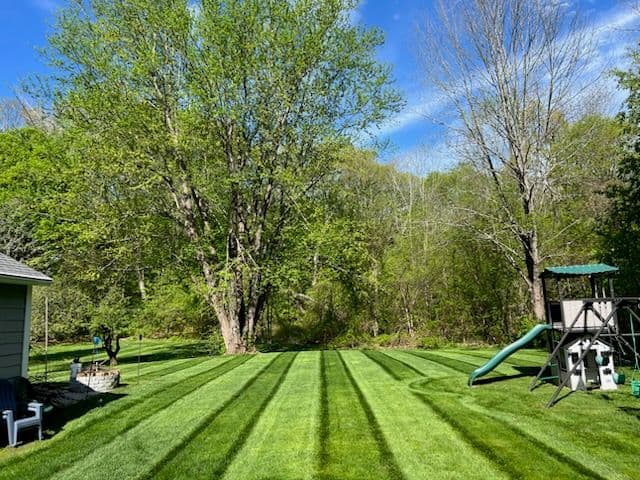 Transformative Lawn Care in Action image