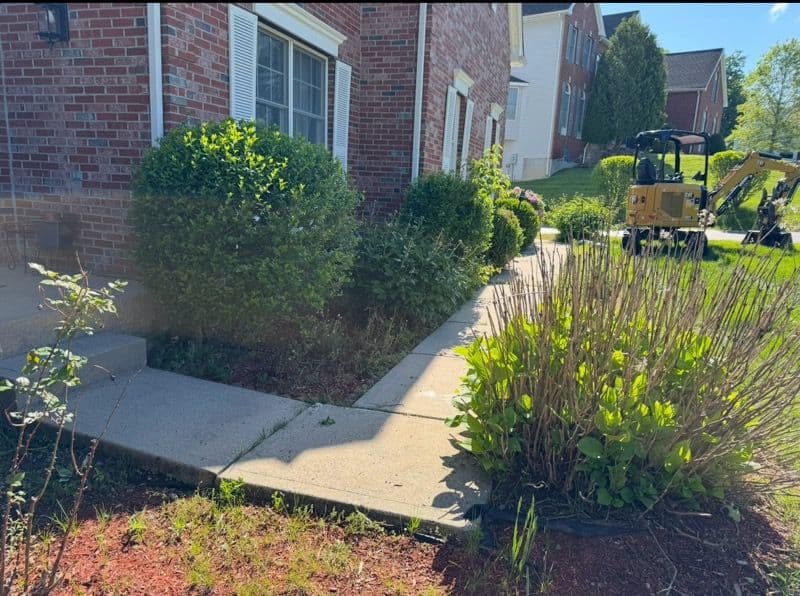 Revitalize Your Home with Stunning New Walkway